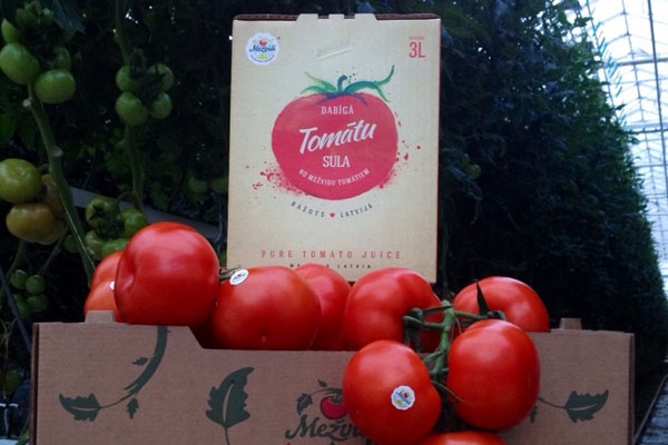 Kārsavas novada «Mežvidu» tomātu audzētājs grasās izvērst dārzeņu pārstrādi