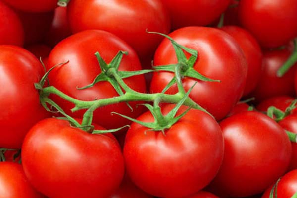 VIDEO: “Mežvidu tomāti” grib paplašināties