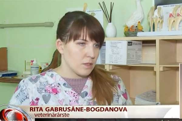 VIDEO: Rēzeknes vetārstei Ritai Gabrusānei-Bogdanovai nākas steigt palīgā arī dzīvniekiem laukos
