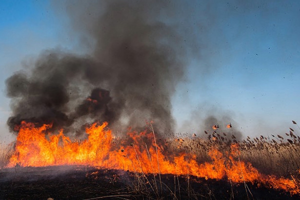 Daugavpilī dzēsti kūlas ugunsgrēki kopumā 17 000 kvadrātmetru platībā