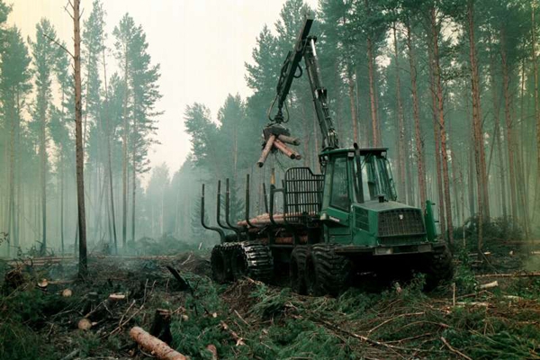 Eksperti Rēzeknē spriedīs par efektīvu mežu apsaimniekošanas nozīmi Latvijas konkurētspējas paaugstināšanā