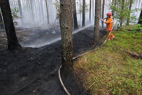 Brīdina par augstu ugunsbīstamību Latgales mežos
