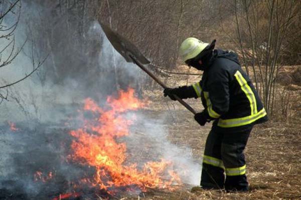Rēzekne kūlas liesmās: aizvadītajā nedēļā kūla degusi 377725 kv.m platībā