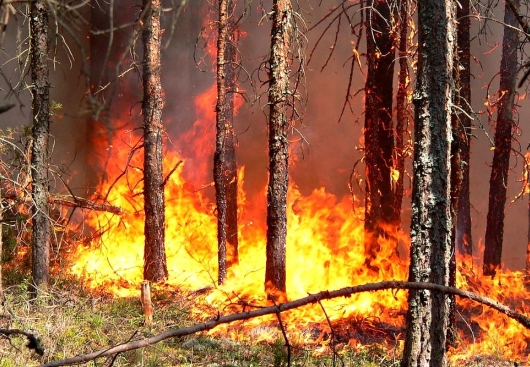 Lielā sausuma dēļ saglabājas paaugstināta bīstamība Rēzeknes novada mežos