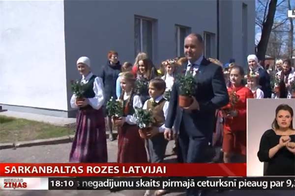 VIDEO: Mātes dienā stāda sarkanbaltas rozes Latvijai