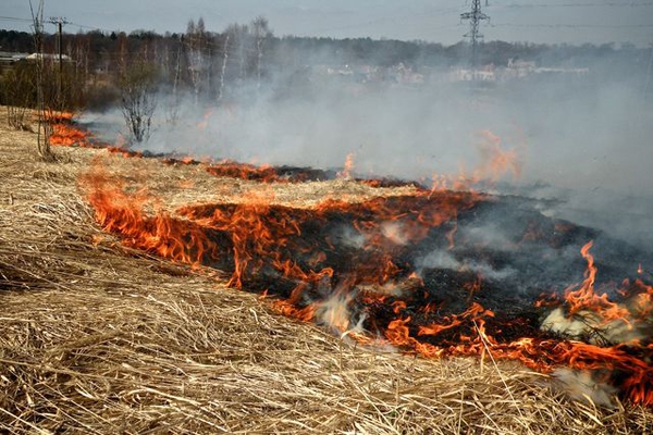 VUGD: rudenī jānopļauj zāle, lai pavasarī nedegtu kūla