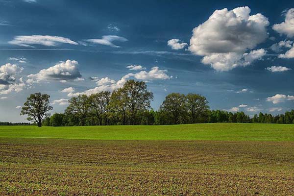 Lauksaimniecības zemei cenas šogad augs Latgalē